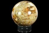 Colorful, Petrified Wood Sphere - Madagascar #122537-2